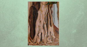 ficus parque01 inicial