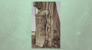 Ficus estación renfe inicial